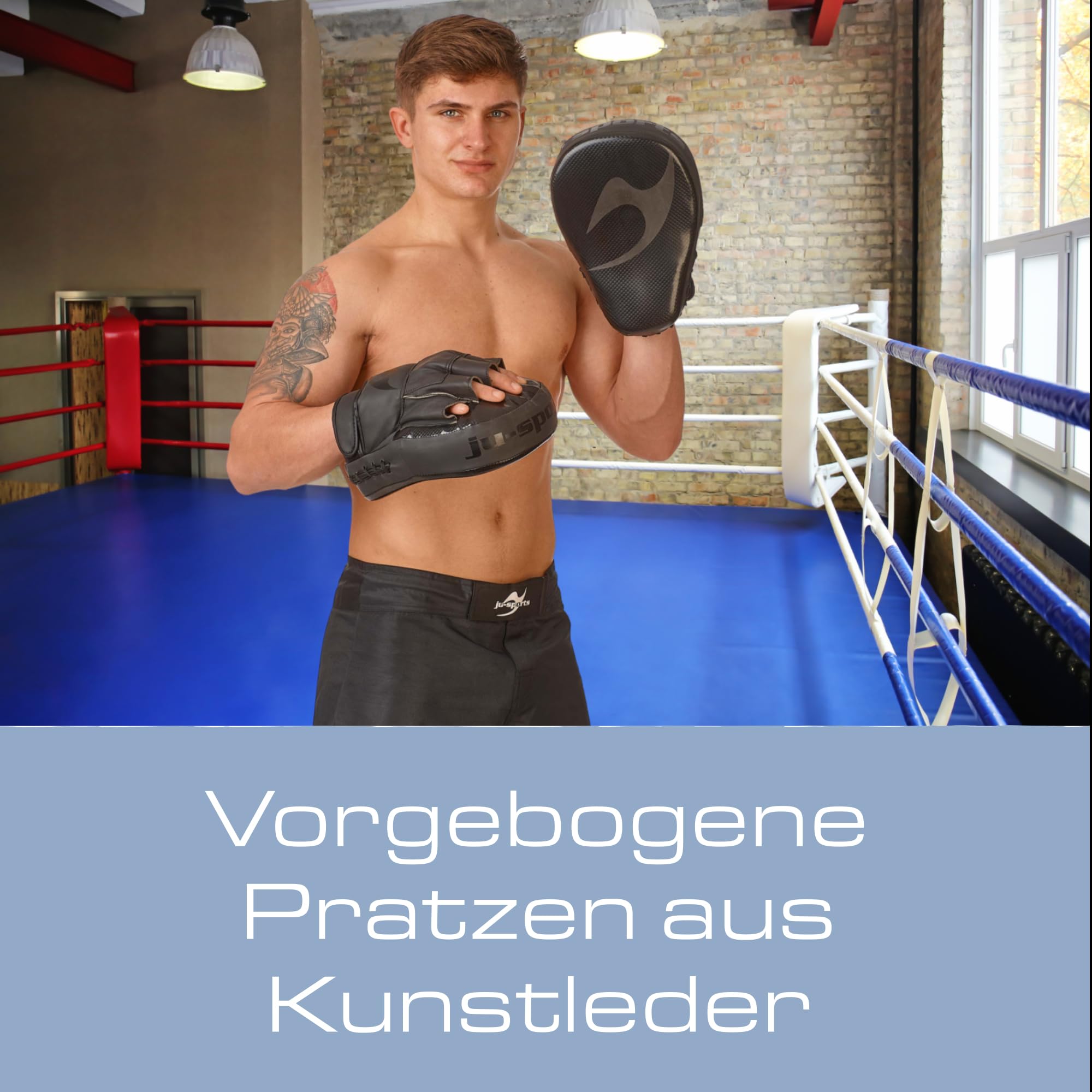 ju-sports-assassin-handpratzen-boxpratzen-carbon-pu-paar image 2