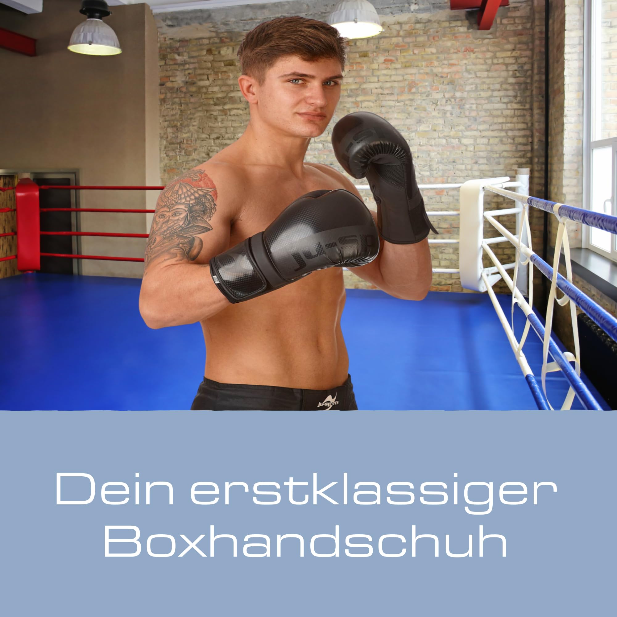 ju-sports-assassin-boxhandschuhe-12-oz-carbon-allround image 2