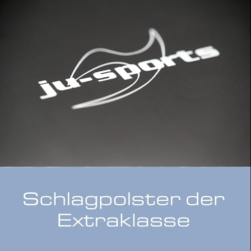 ju-sports-doppelhand-schlagpolster-pratze-kunstleder-48-cm image 8